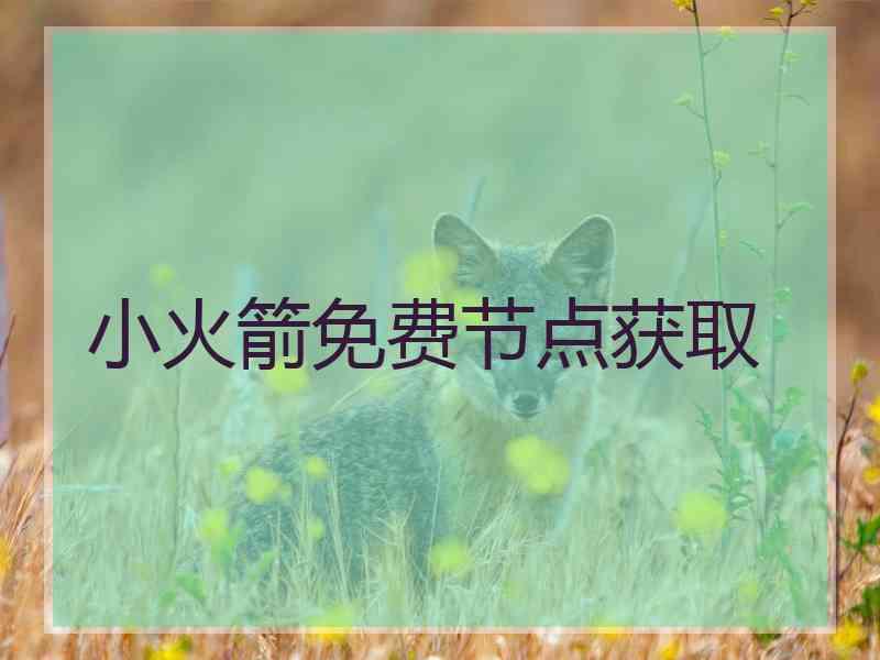 小火箭免费节点获取