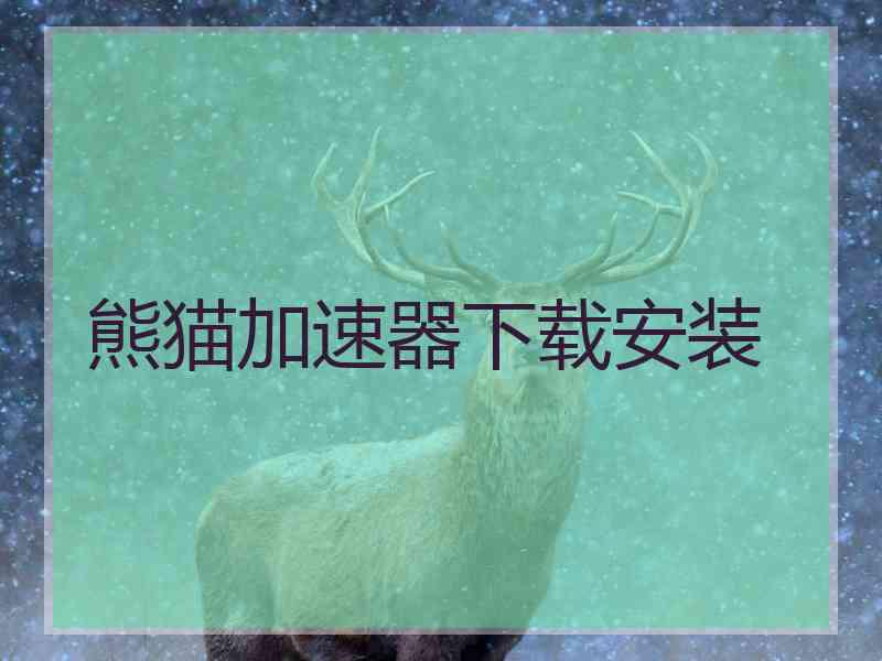 熊猫加速器下载安装
