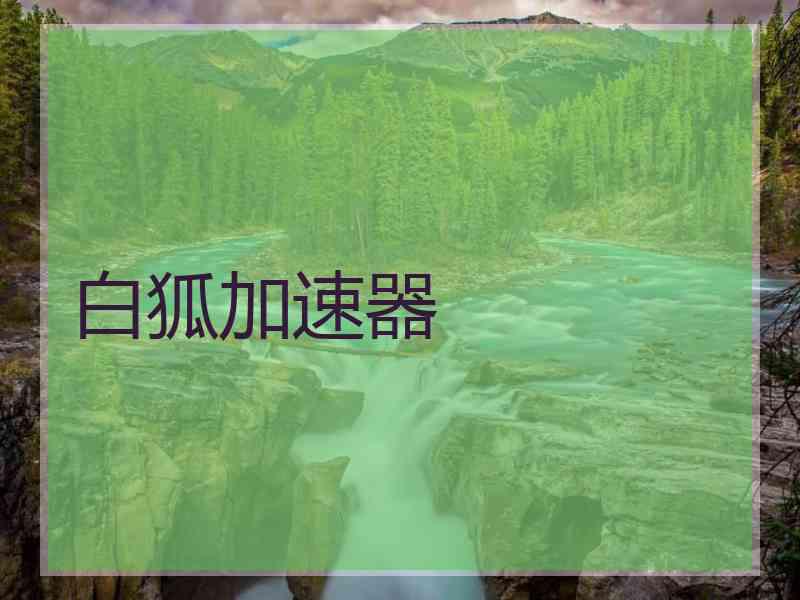 白狐加速器