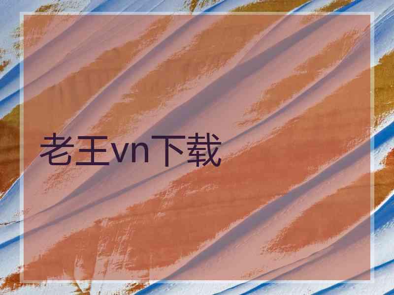 老王vn下载