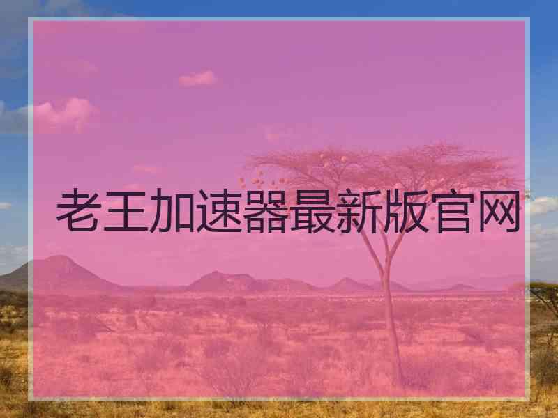老王加速器最新版官网