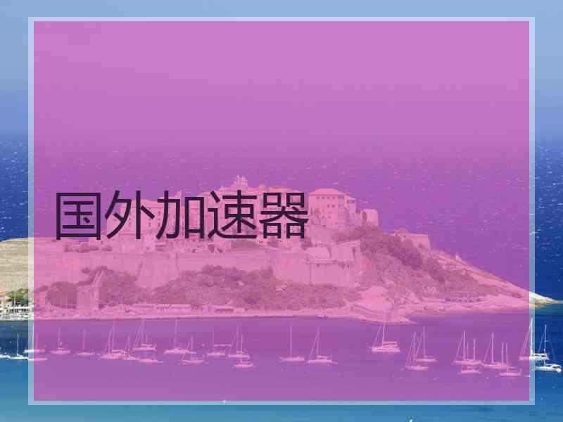 国外加速器