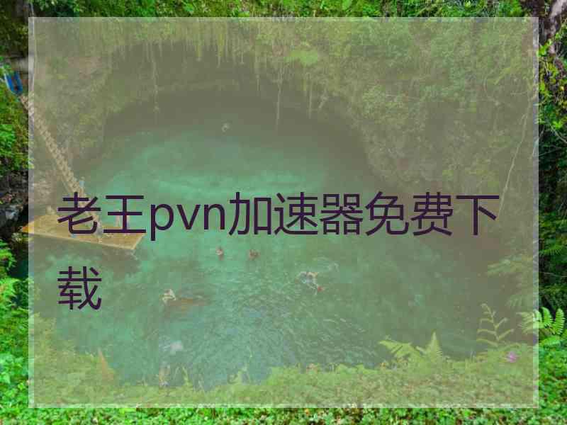 老王pvn加速器免费下载