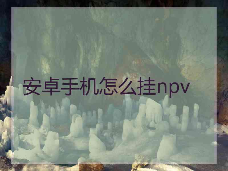 安卓手机怎么挂npv