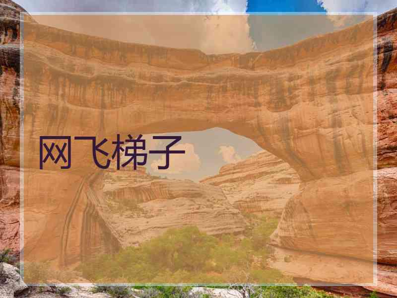 网飞梯子