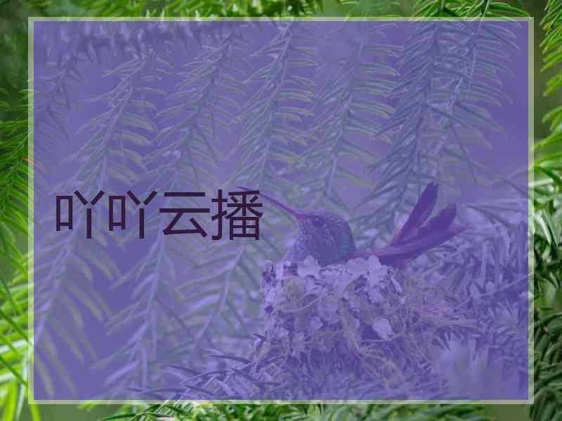 吖吖云播