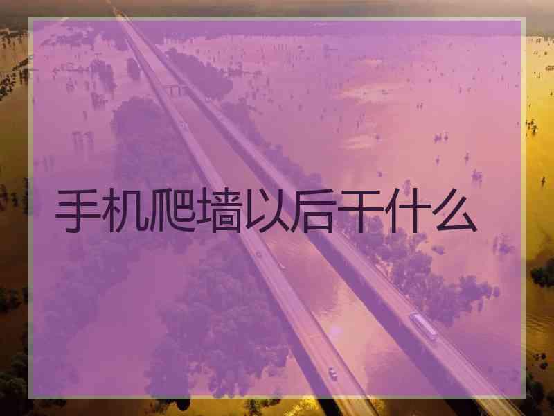 手机爬墙以后干什么