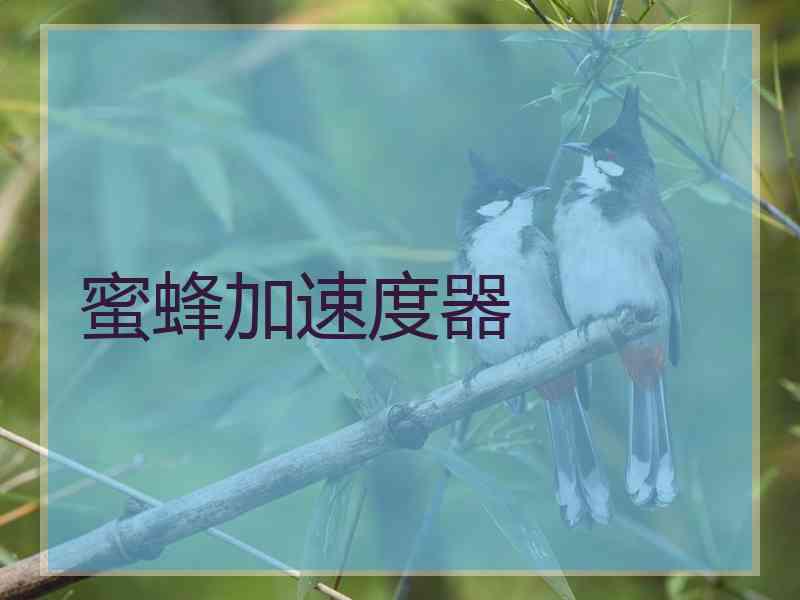 蜜蜂加速度器