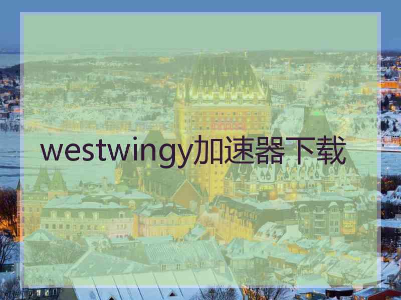 westwingy加速器下载