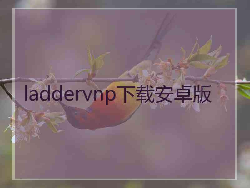 laddervnp下载安卓版