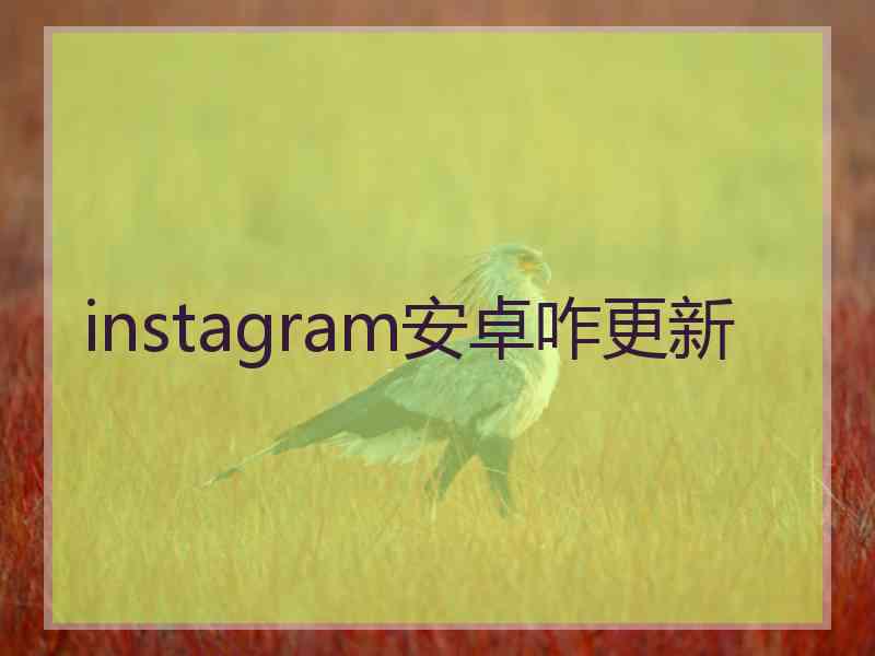 instagram安卓咋更新