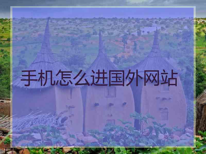 手机怎么进国外网站