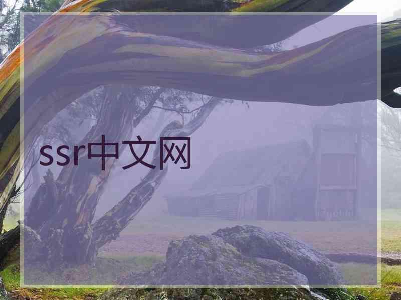 ssr中文网