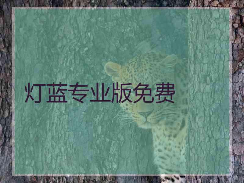 灯蓝专业版免费