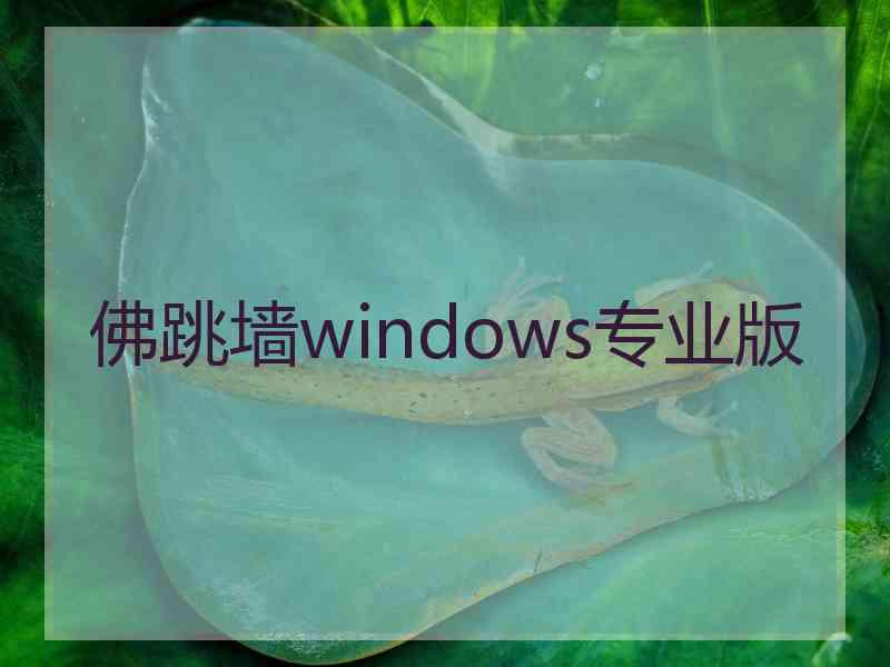 佛跳墙windows专业版