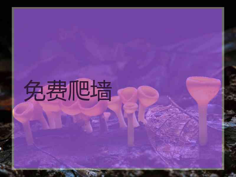 免费爬墙