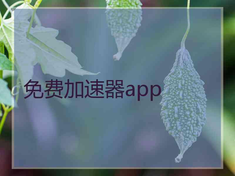 免费加速器app
