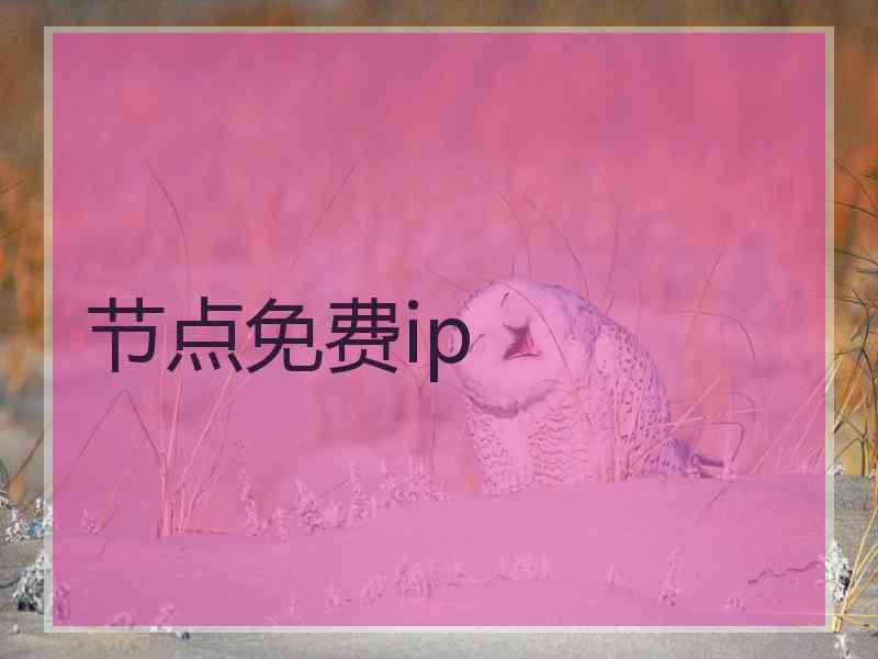 节点免费ip