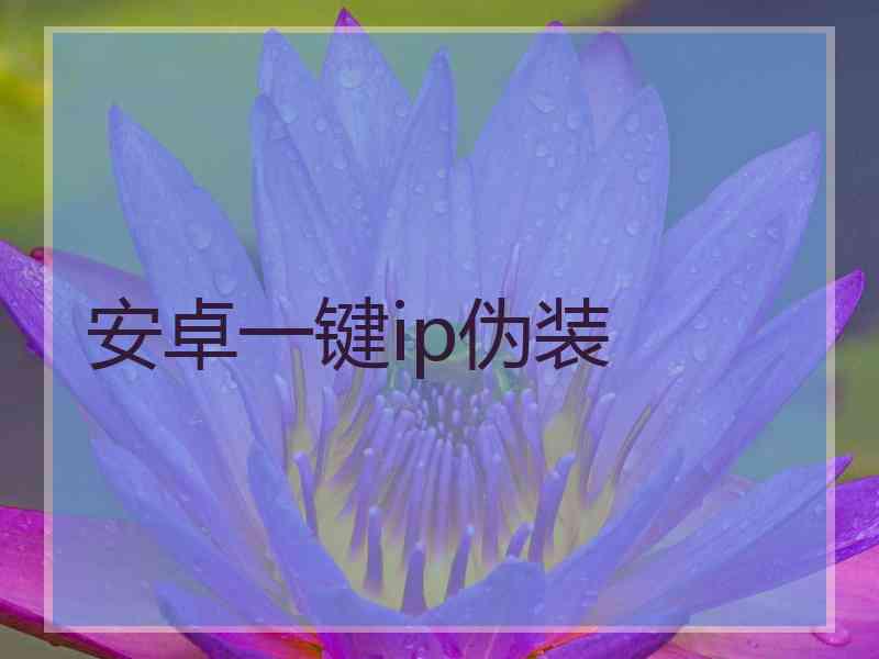 安卓一键ip伪装