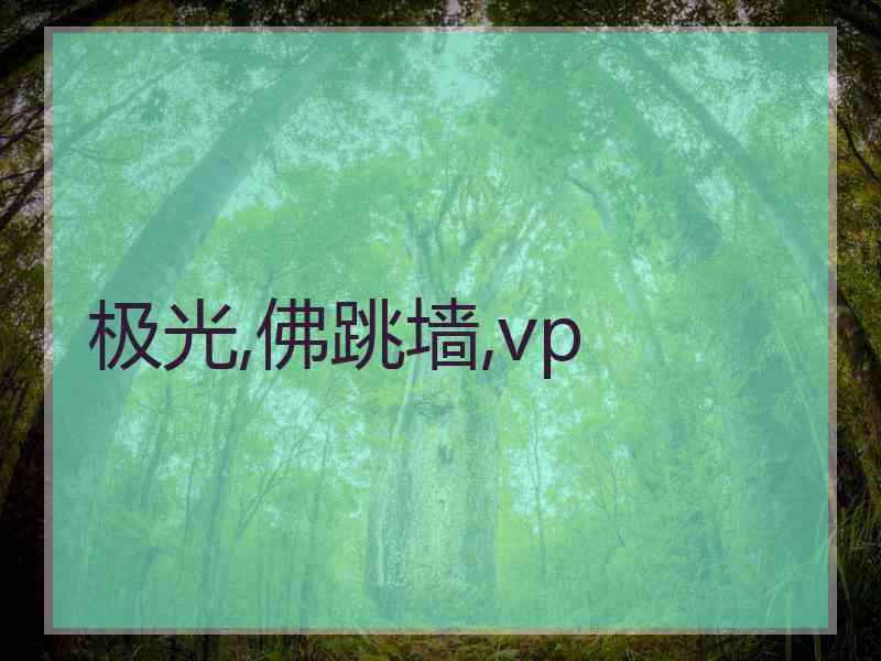 极光,佛跳墙,vp
