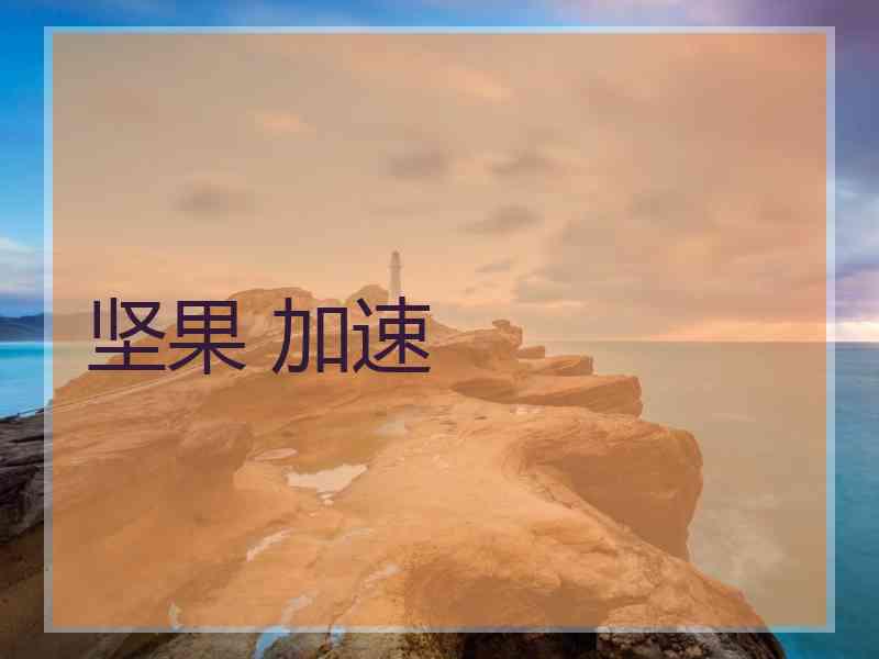 坚果 加速