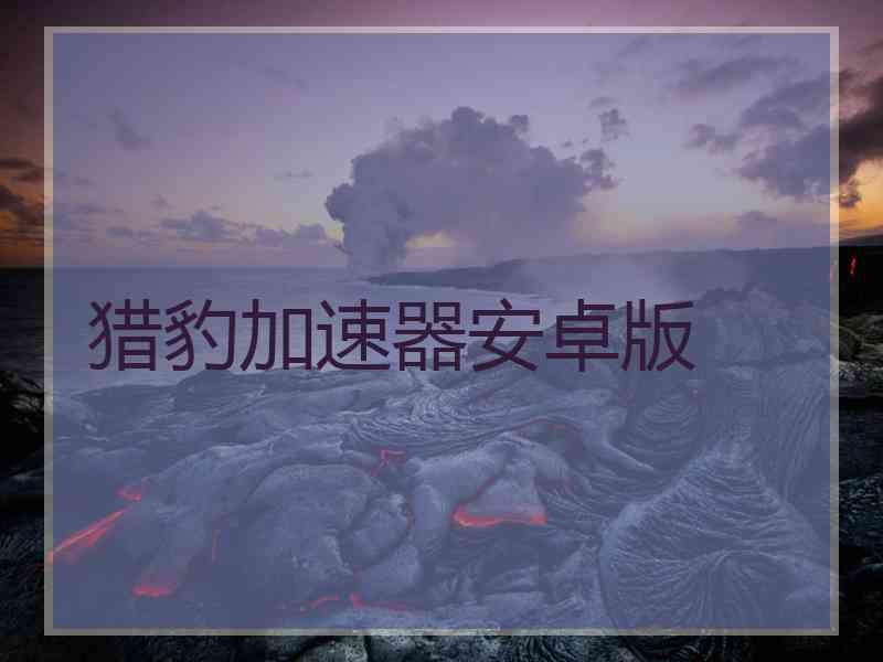 猎豹加速器安卓版