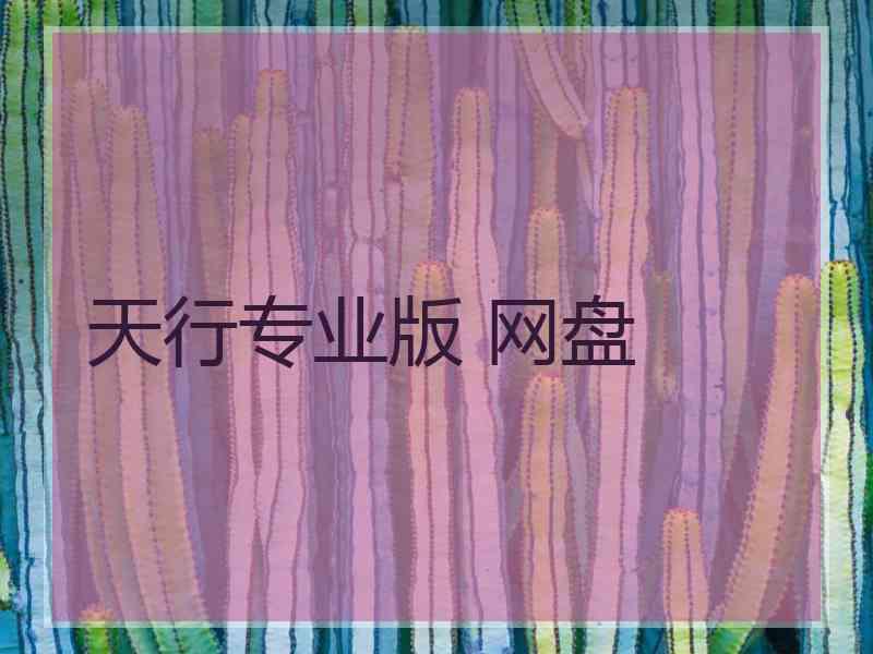 天行专业版 网盘