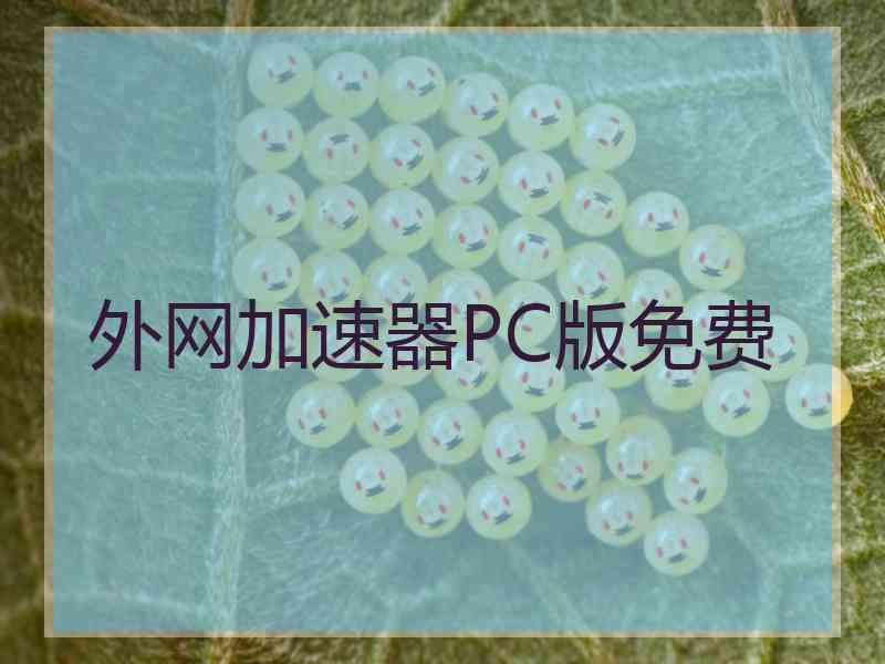 外网加速器PC版免费