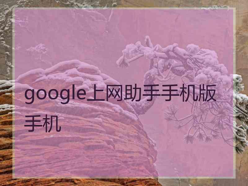 google上网助手手机版手机