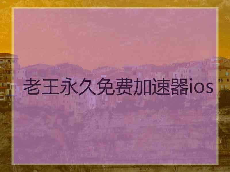 老王永久免费加速器ios