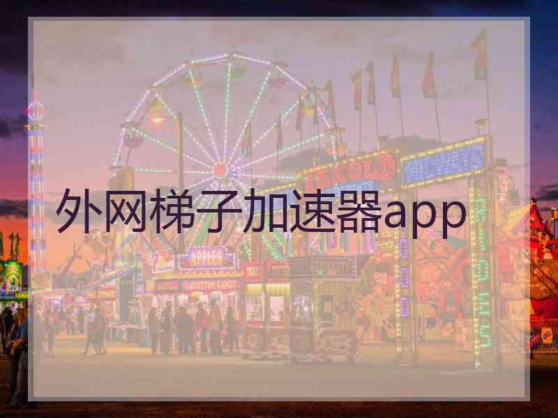 外网梯子加速器app