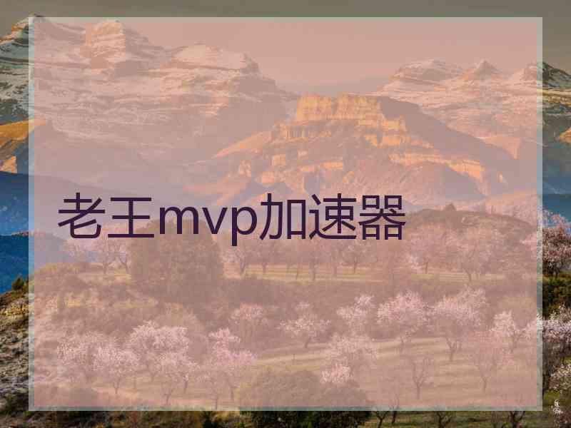 老王mvp加速器
