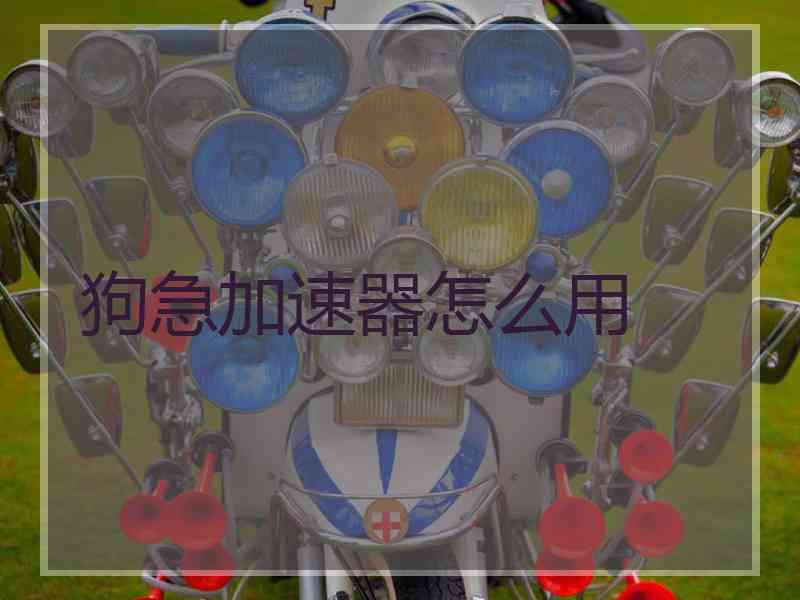 狗急加速器怎么用