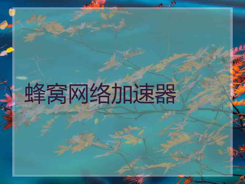 蜂窝网络加速器