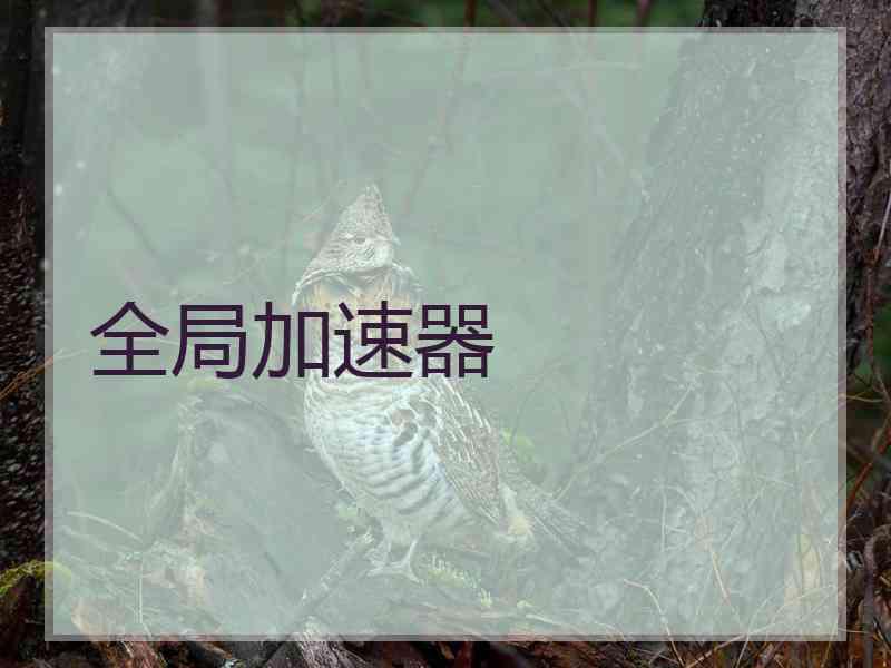 全局加速器