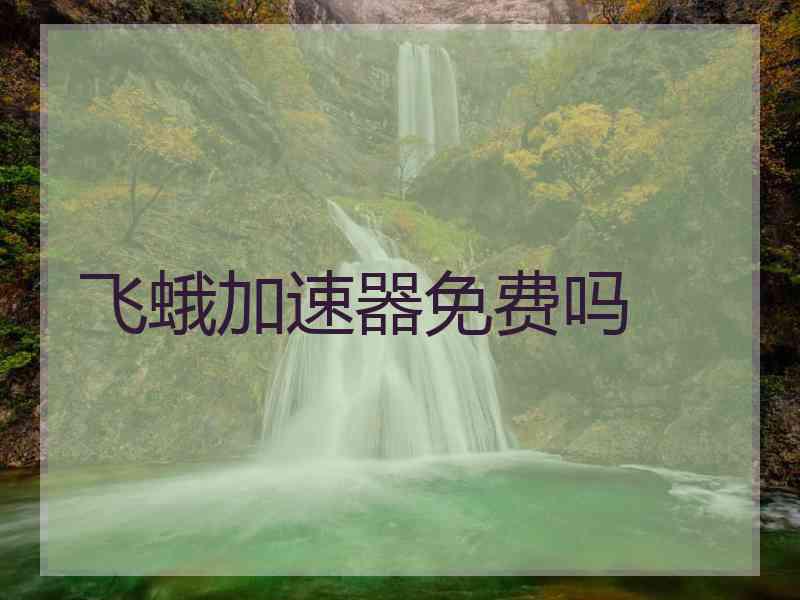 飞蛾加速器免费吗