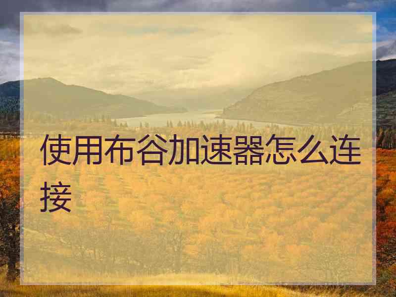 使用布谷加速器怎么连接