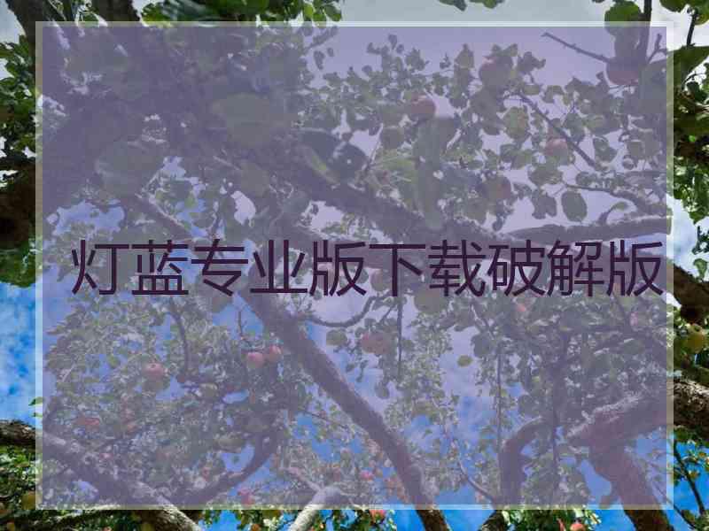 灯蓝专业版下载破解版