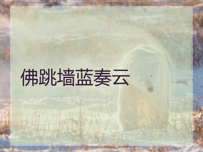 佛跳墙蓝奏云