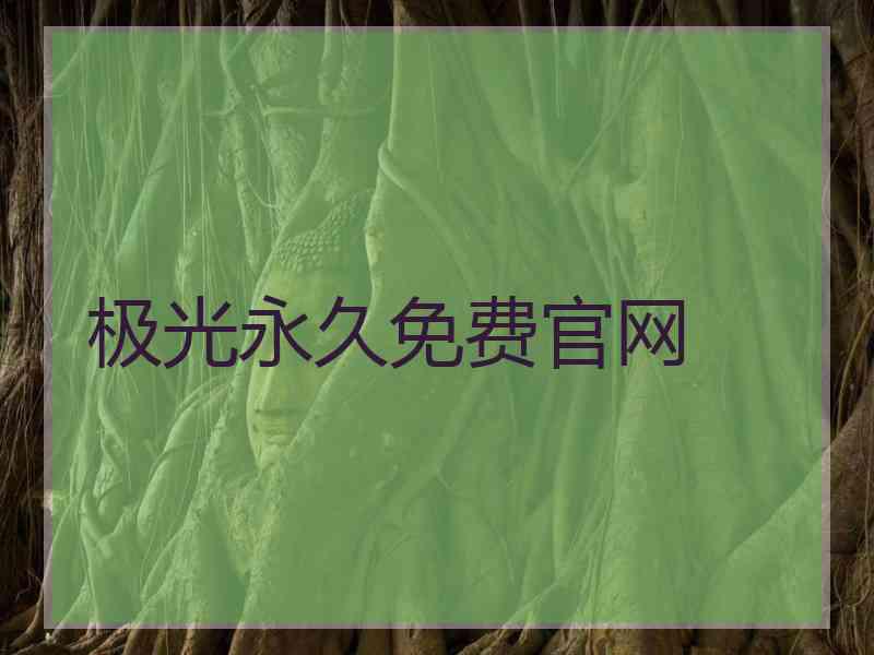 极光永久免费官网