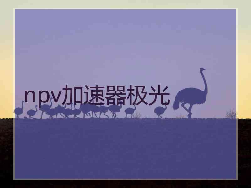 npv加速器极光