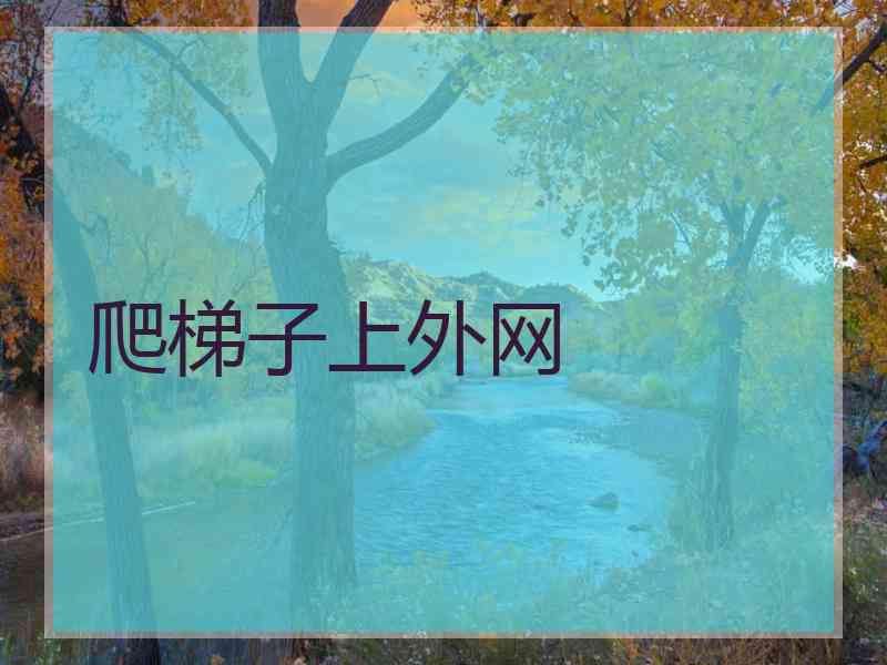 爬梯子上外网