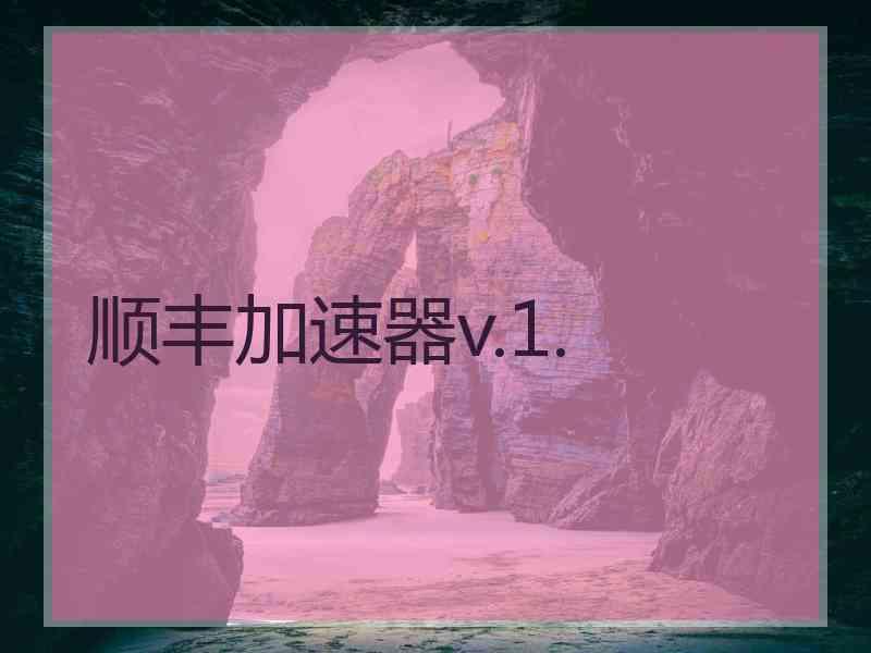 顺丰加速器v.1.