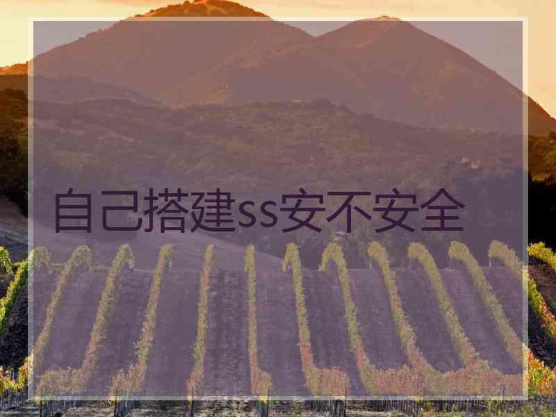 自己搭建ss安不安全
