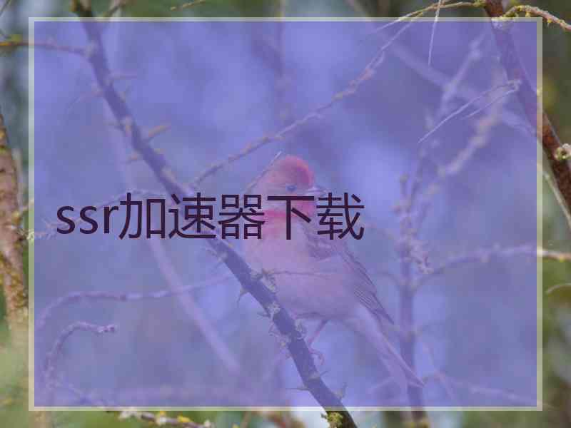 ssr加速器下载