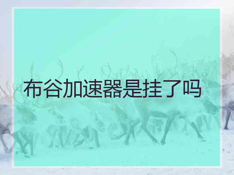 布谷加速器是挂了吗