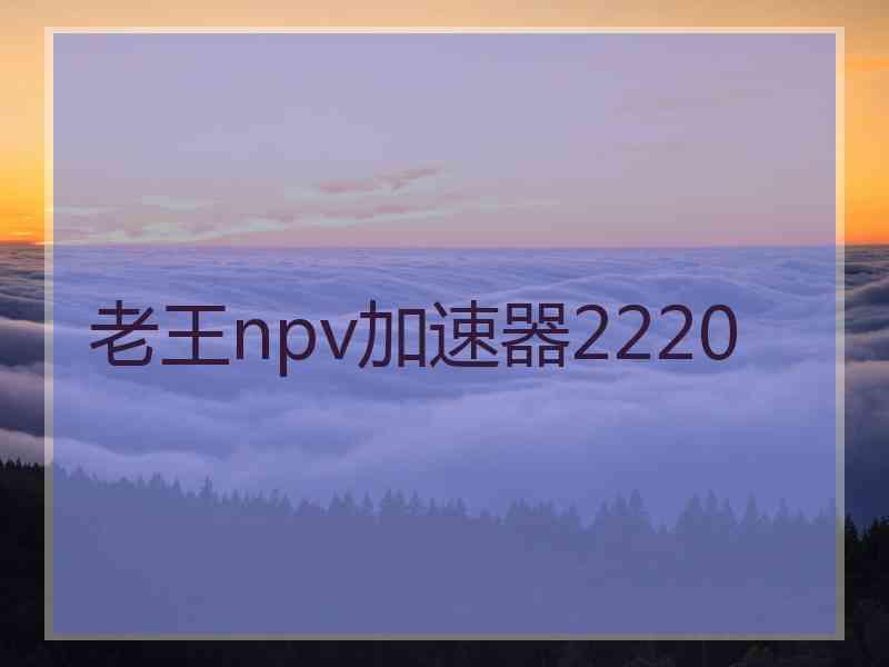 老王npv加速器2220