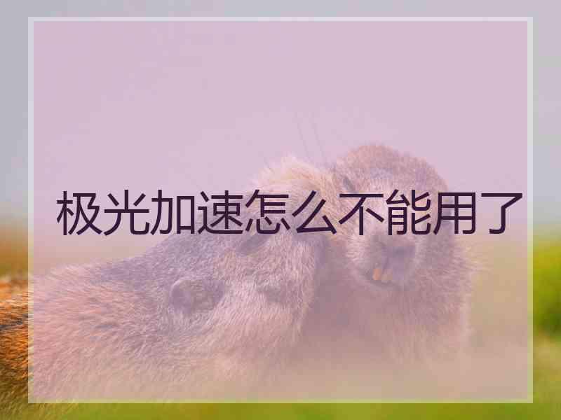 极光加速怎么不能用了