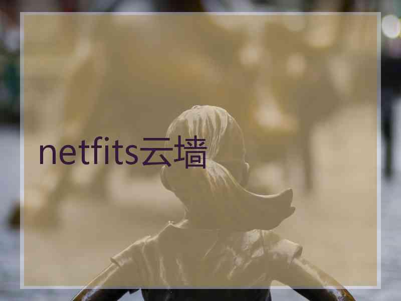 netfits云墙