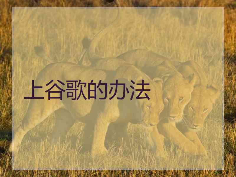 上谷歌的办法